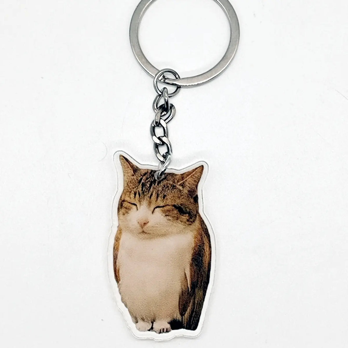 Funny Meowl Cat Owl Hybrid Keychain, Viral Meme Acrylic Bag Charm, Quirky Weirdcore Accessory, Unique Creative Gift, Keychain Accessories, Keychain For Purse