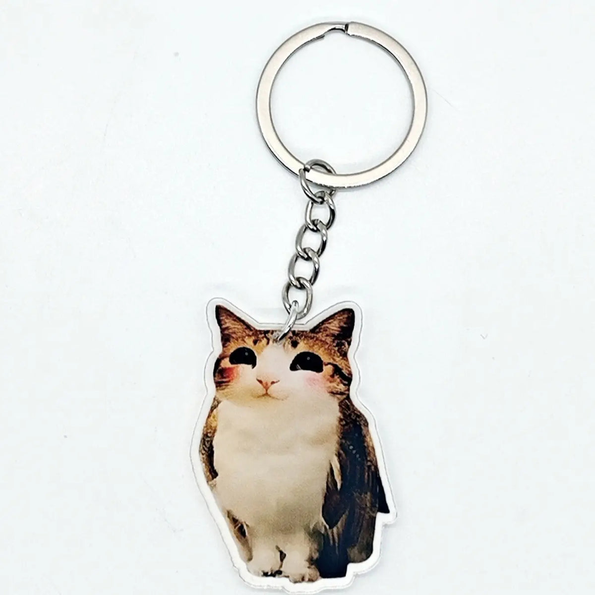 Funny Meowl Cat Owl Hybrid Keychain, Viral Meme Acrylic Bag Charm, Quirky Weirdcore Accessory, Unique Creative Gift, Keychain Accessories, Keychain For Purse