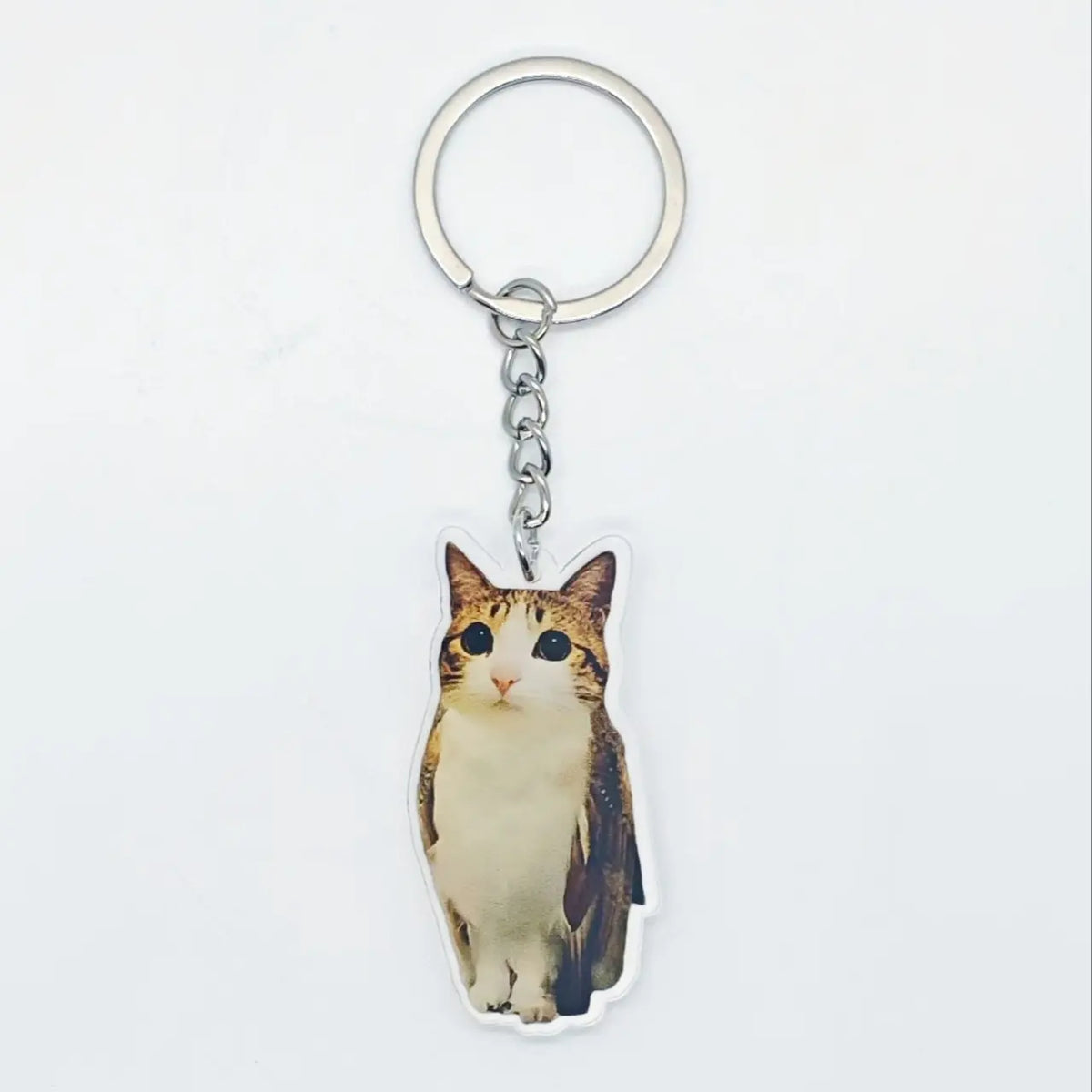 Funny Meowl Cat Owl Hybrid Keychain, Viral Meme Acrylic Bag Charm, Quirky Weirdcore Accessory, Unique Creative Gift, Keychain Accessories, Keychain For Purse